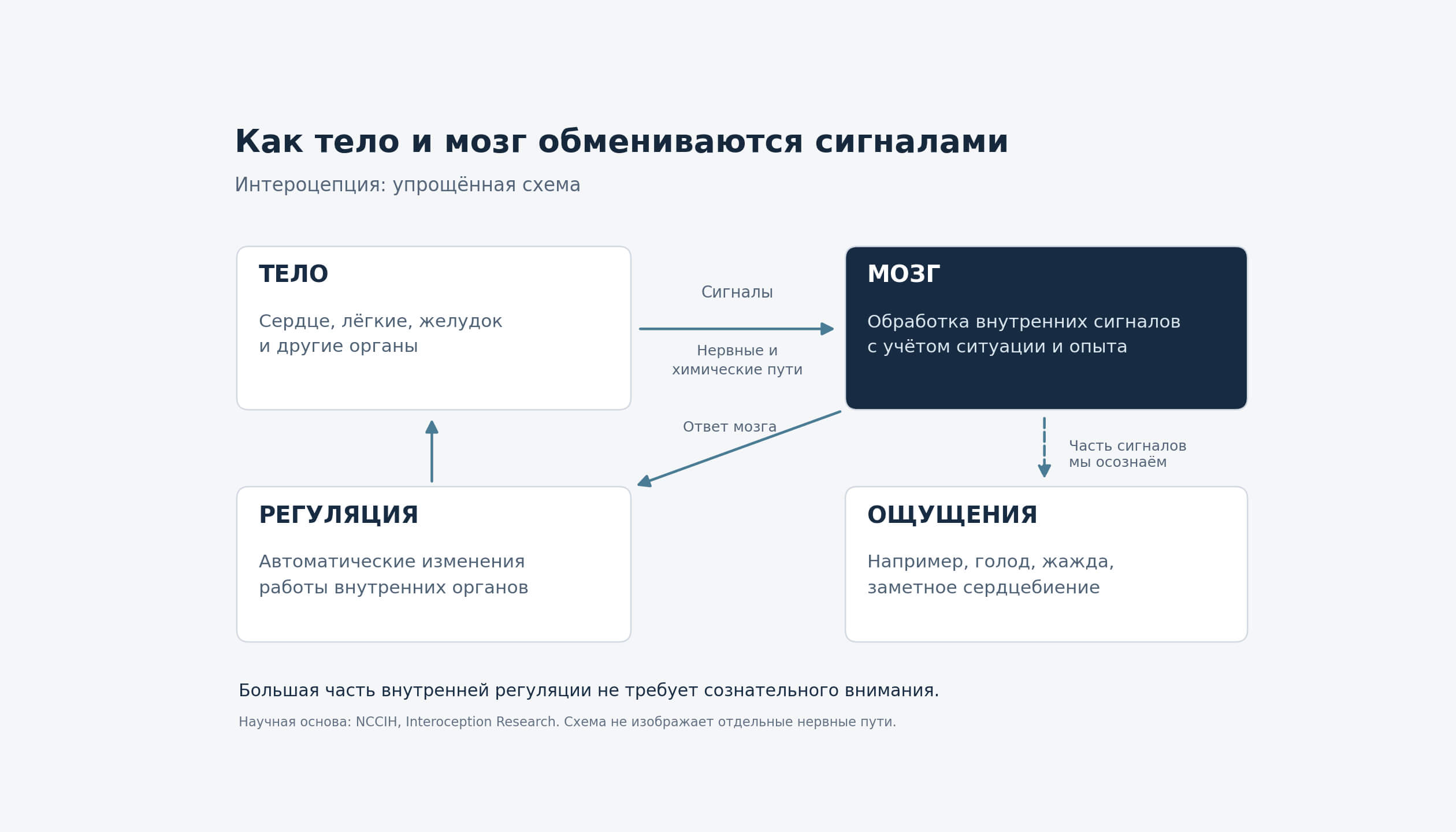 Схема интероцепции: сигналы внутренних органов поступают в мозг, участвуют в автоматической регуляции и частично становятся осознанными ощущениями
