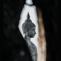 Ментальный Буддизм 2. Освобождение от блоков (22 и 15 Аркан)