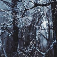 Обход энергии Смерти — Самайн