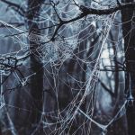 Обход энергии Смерти — Самайн