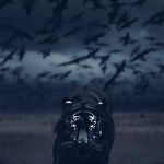 16 Аркан. Гнев