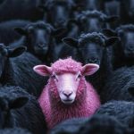 15 Аркан. Проработка Ловушек