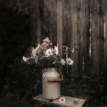 Родовой Канал – источник силы и слабости Женщины