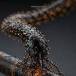 Крадники. Поиск, диагностика, уничтожение